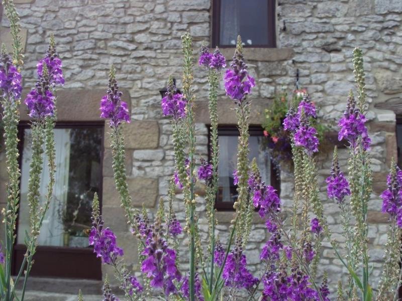 Old Coach House Apartment Matlock  Exterior photo